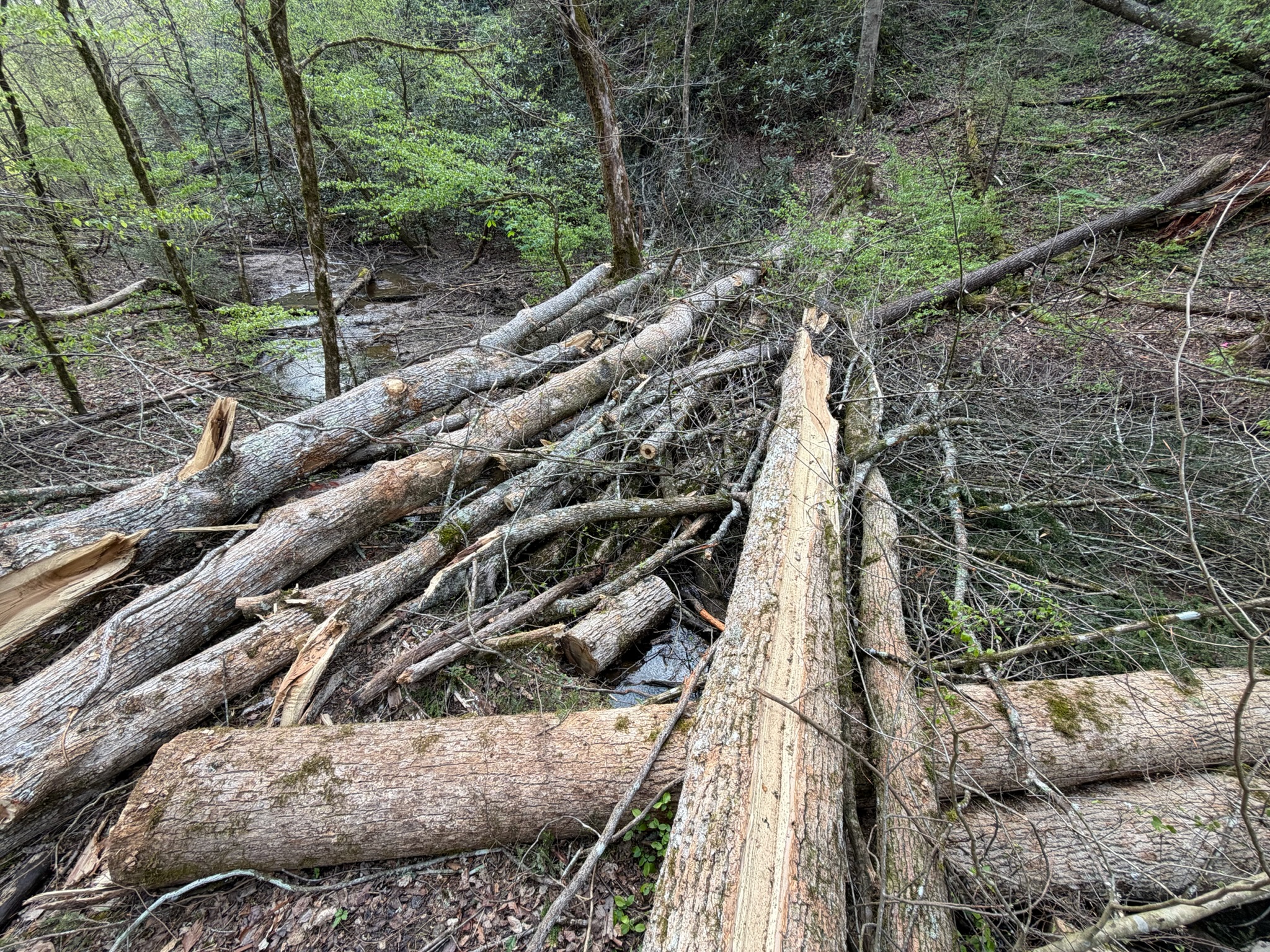 Stream restoration project