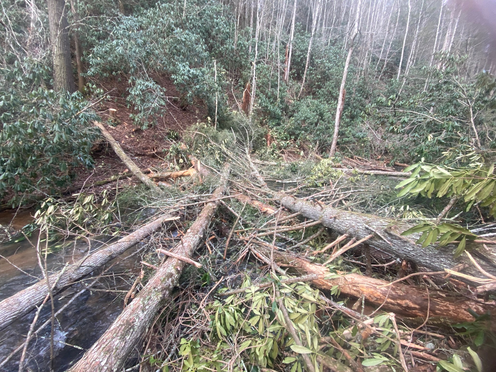 Renaturalized Streams