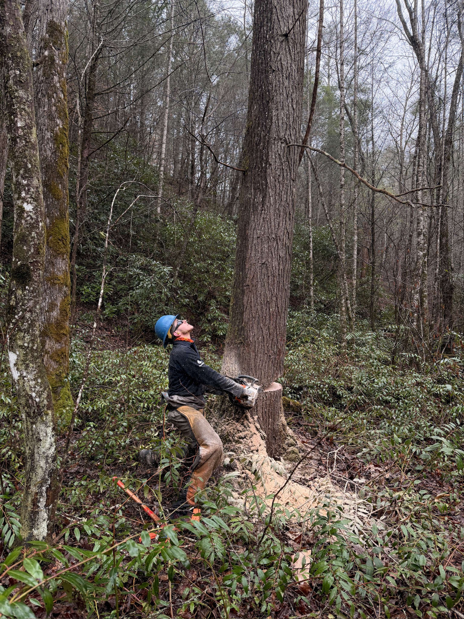 Working in the Field